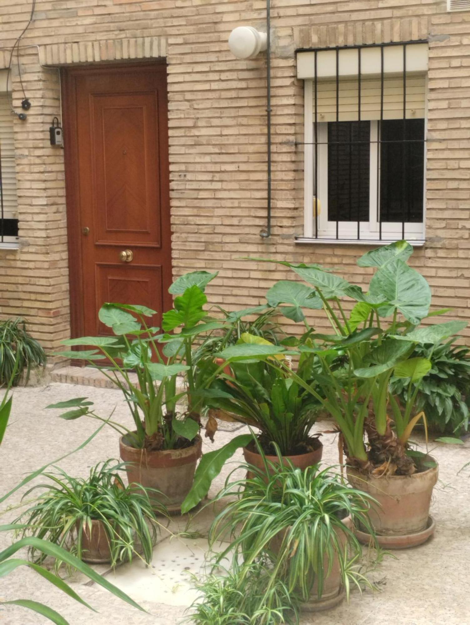 Appartement La Casa De Pepa