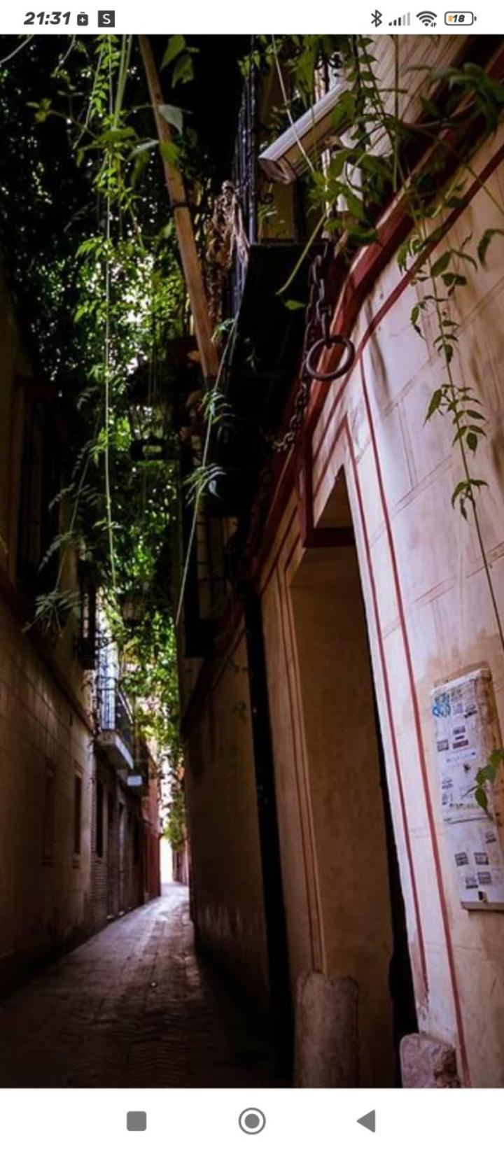 La Casa De Pepa Appartement